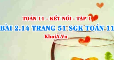 Bài 2.14 trang 51 SGK Toán 11 tập 1 Kết nối tri thức